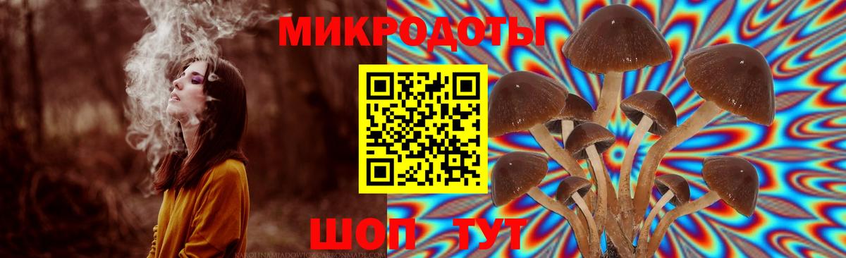 Галлюциногенные грибы GOLDEN TEACHER Рыбинск
